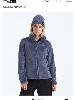 The North Face Osito Sweater or Jacket